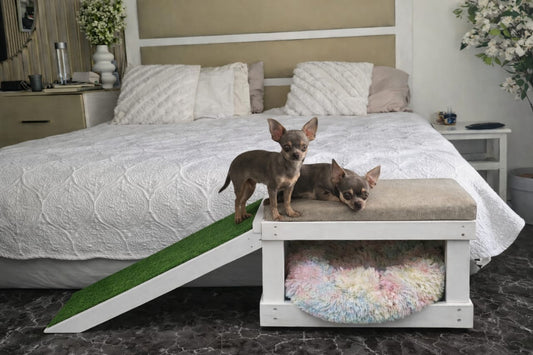 Dog Ramp with Soft Step - Adjustable Couch for human and pet